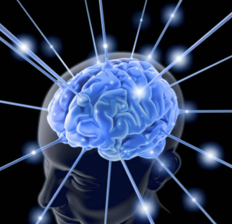 Tècniques de concentració i memorització