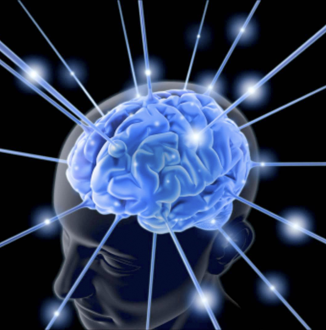 Tècniques de concentració i memorització